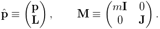 \hat{\bf p}\equiv\left(\begin{matrix}{\bf p}\\
{\bf L}\end{matrix}\right),\qquad{\bf M}\equiv\left(\begin{matrix}m{\bf I}&0\\
0&{\bf J}\end{matrix}\right).