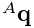 {}^{A}{\bf q}