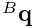 {}^{B}{\bf q}