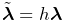 \tilde{\boldsymbol{\lambda}}=h\boldsymbol{\lambda}