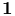 \mathbf{1}