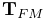 {\bf T}_{FM}