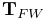 {\bf T}_{FW}