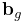{\bf b}_{g}