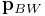 {\bf p}_{BW}