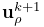 {\bf u}_{\rho}^{k+1}