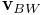 {\bf v}_{BW}